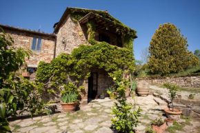 Podere Terreno alla via della volpaia Radda / Chianti